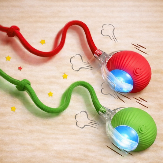 Brinquedo Inteligente para Pets | Diversão Inteligente — AMYRA™